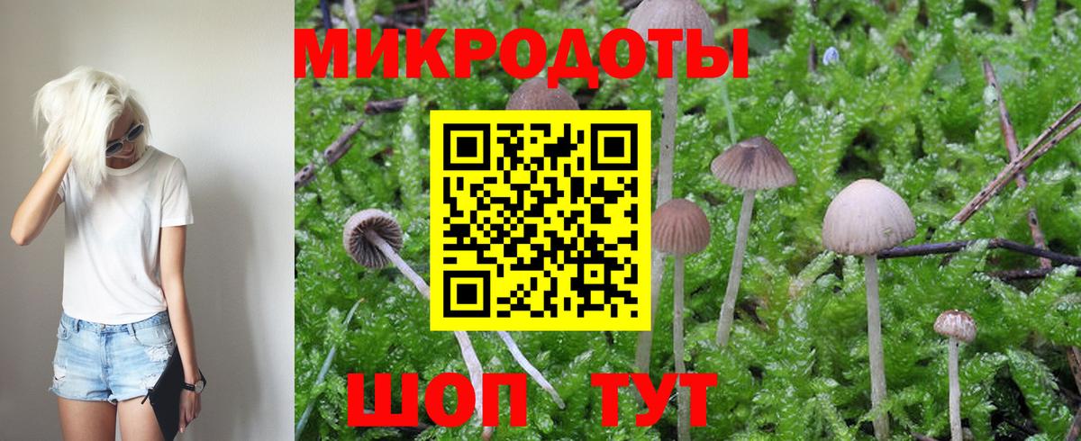 Галлюциногенные грибы Psilocybine cubensis  Вход с VPN  магазин    Нефтекумск 